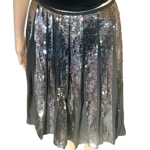 Ann Taylor Pleated Sequins Skirt Womens Size 12